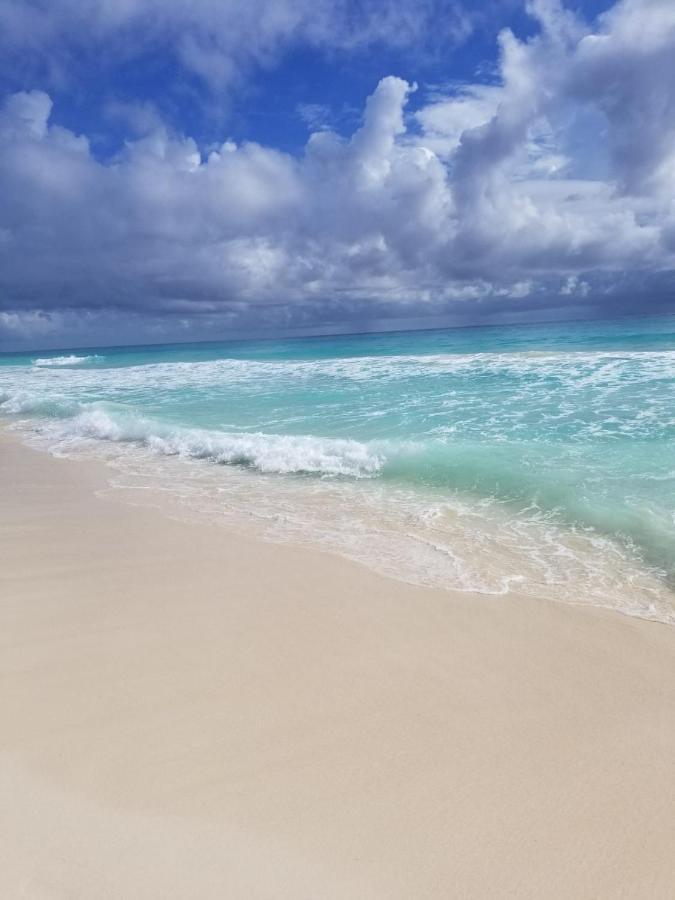 Amazing Caribbean Ocean View At Villas Marlin In Κανκούν Εξωτερικό φωτογραφία